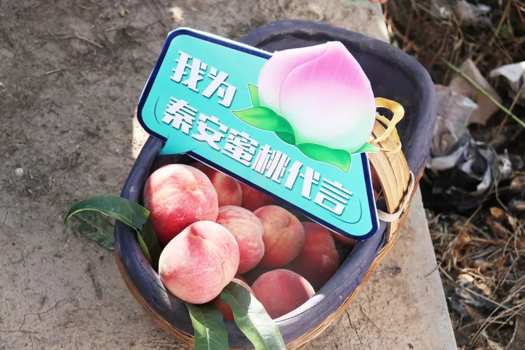 3d漫画下载 请支持创作者劳动成果