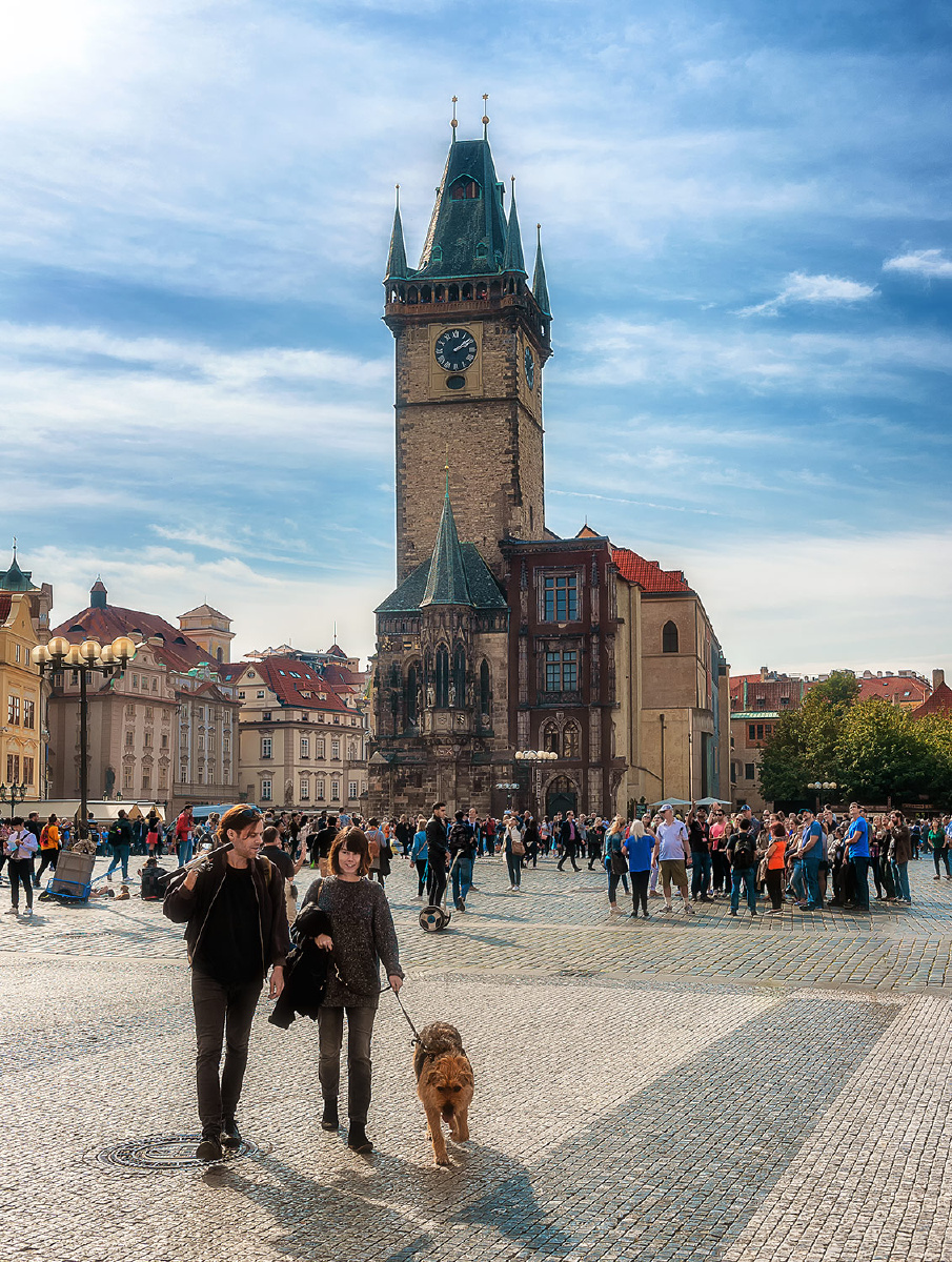 51DADOU仙踪林网站入口欢迎您