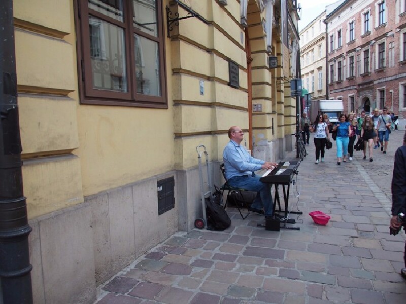 51DADOU仙踪林网站入口欢迎您 仙踪林网站在这方面做得不错