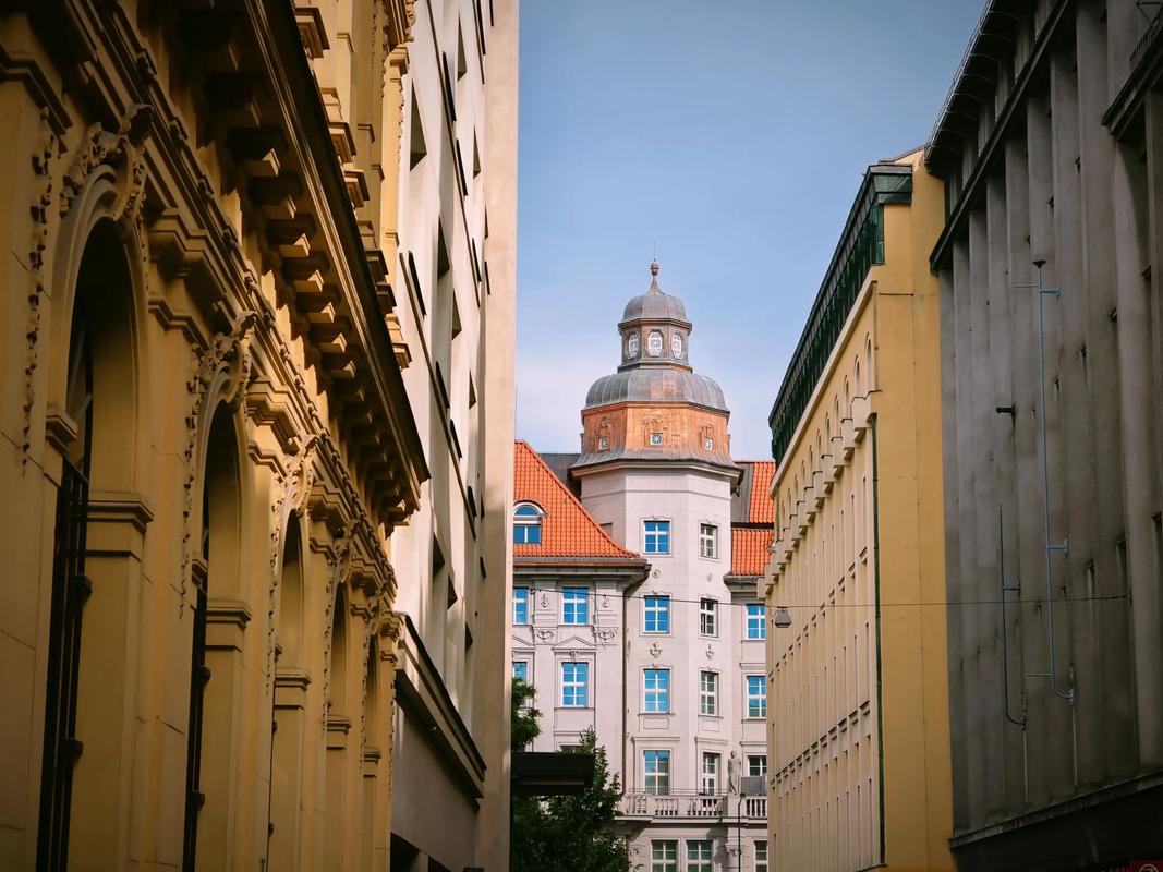 手机影视 艺术片 影视艺术特效丰富）