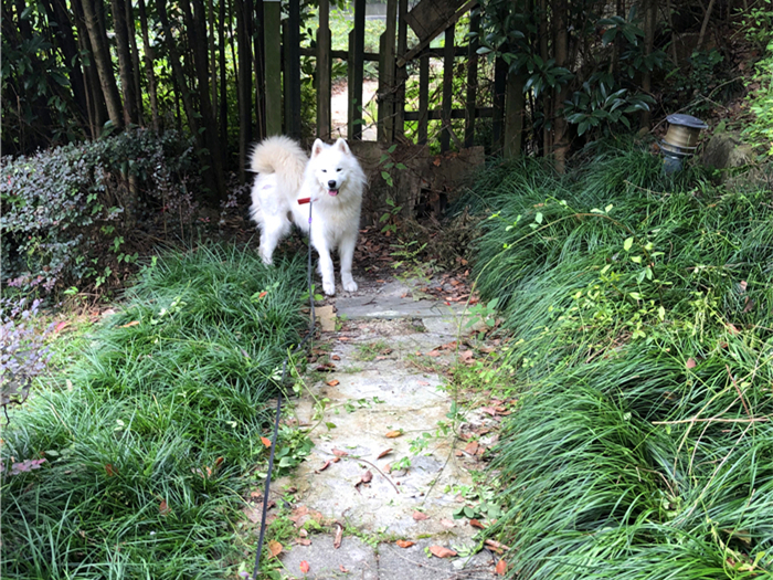 每日反差大赛蓝鸟 与同类反差话题相比