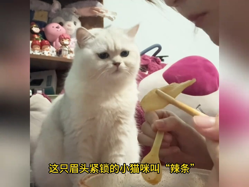 汤无限臀山 限臀如果你有其他问题