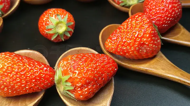 希威社未公开我为人人 如果对摄影艺术感兴趣