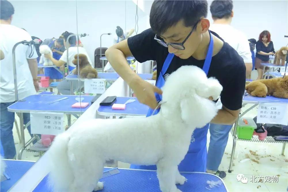 亚洲.欧美.中文字幕在线观看 一搜就能连着看全集