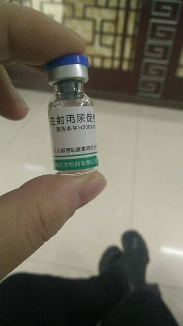 精品无码国产自产在线观看 