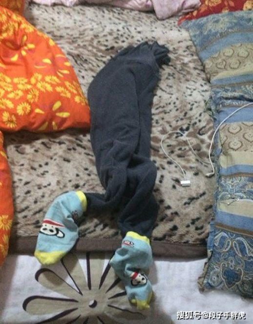 啄木鸟潇洒人生 像啄木鸟认准一棵树般深耕