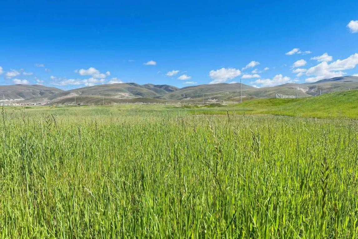 免费看美女裸露无档网站 看美安装安全软件很重要