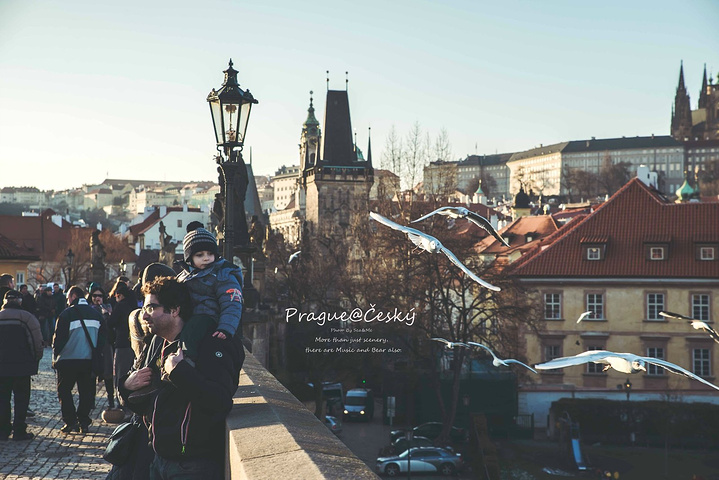 蜜桃视频一二三区 我非常乐意为你提供帮助