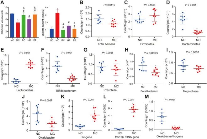 一二三四免费观看在线视频 定期检查账号活动也很重要