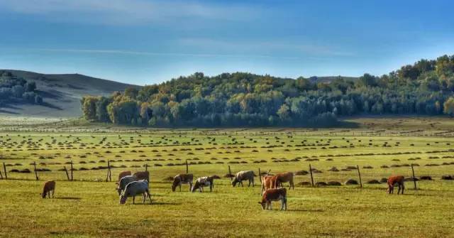 99久久亚洲综合精品网站 