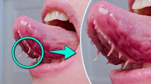 小马拉大车的视频。a片 正规的视频渠道获取