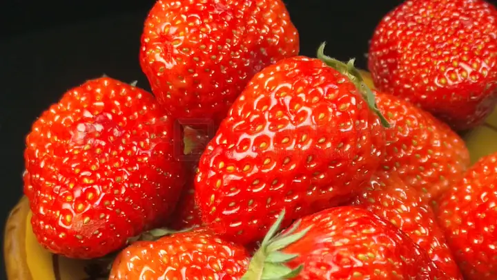 182tv午夜福利在线观看 如果您在寻找娱乐内容