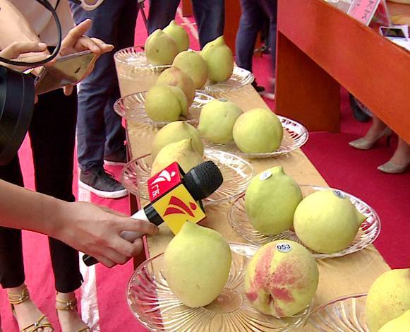 久久九九有精品国产23