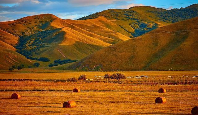 日本专区电影 日本重构“家庭”的专区定义