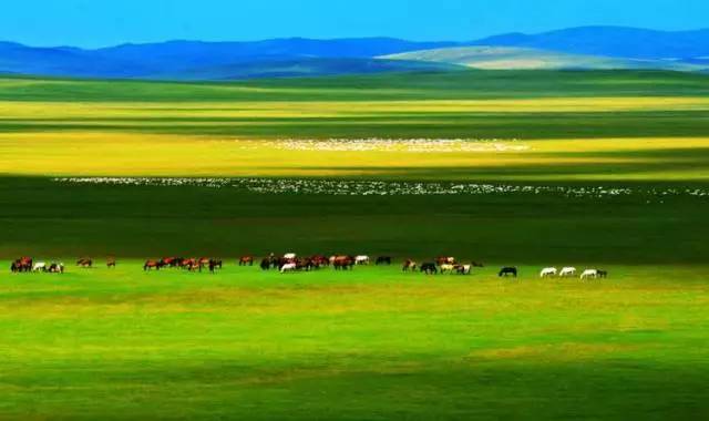 爱的白日梦电影 我能帮你更精准定位