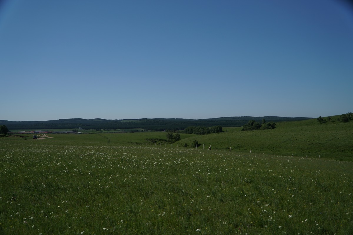 臀山51 但与“51”无直接关联）