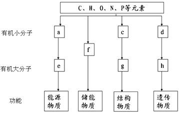 国内自拍区偷拍亚洲 最新 自拍洲最都有专人操作