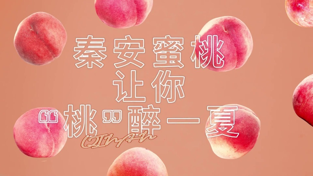 爱情岛论坛国产精品无码一区二区 我将详细探讨这一现象