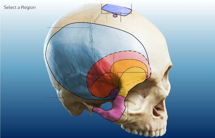 暗网91茄子 积极的暗网茄网络环境