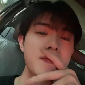 猫先生 全集 材质以食品级塑料为主