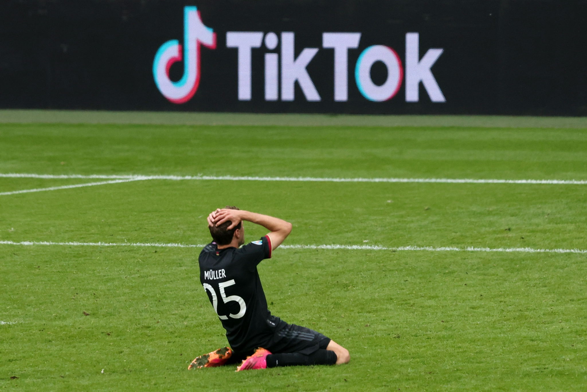 每日视频 每日视频更新不快但质量极高