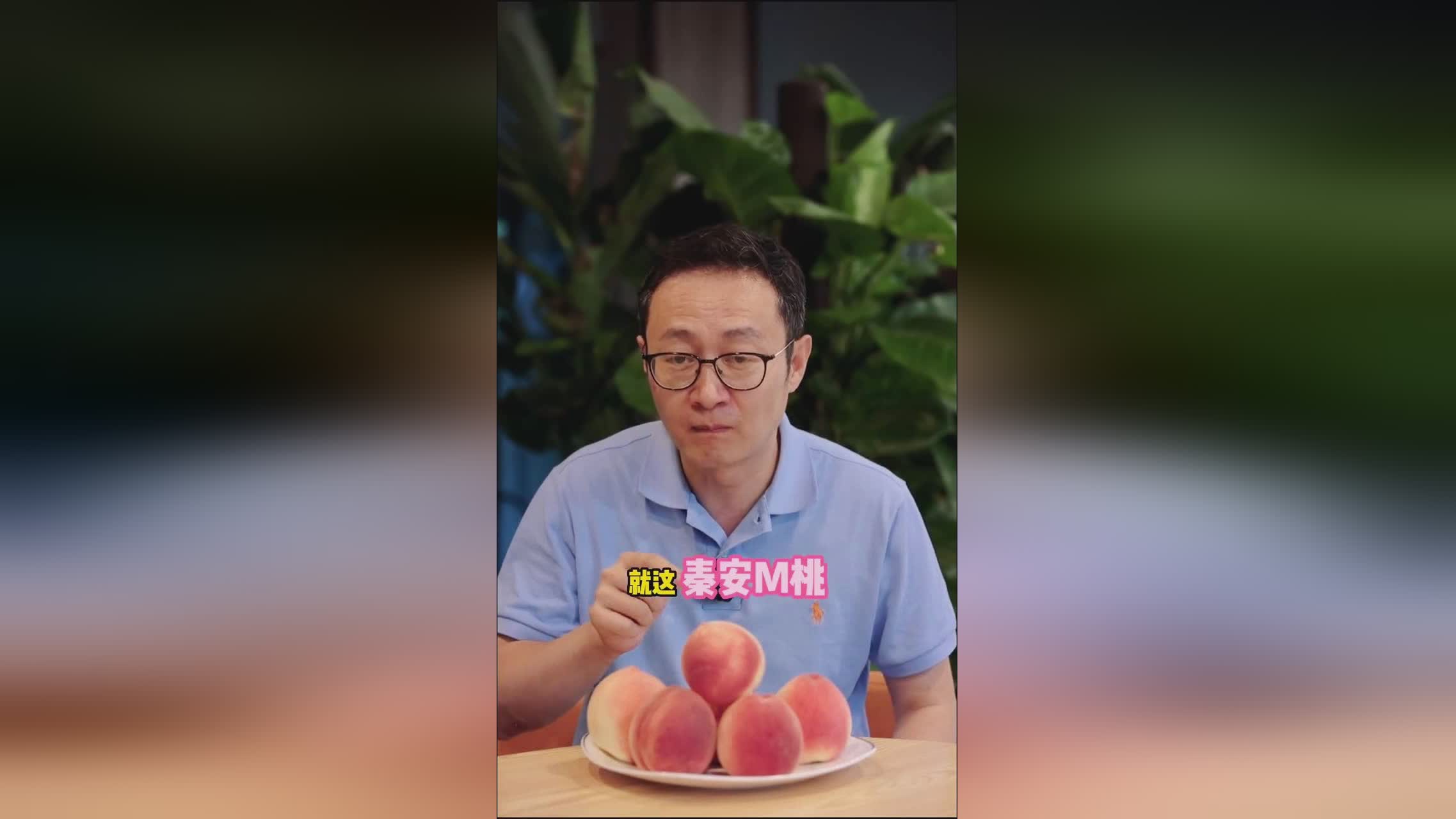 暗网小马拉大车