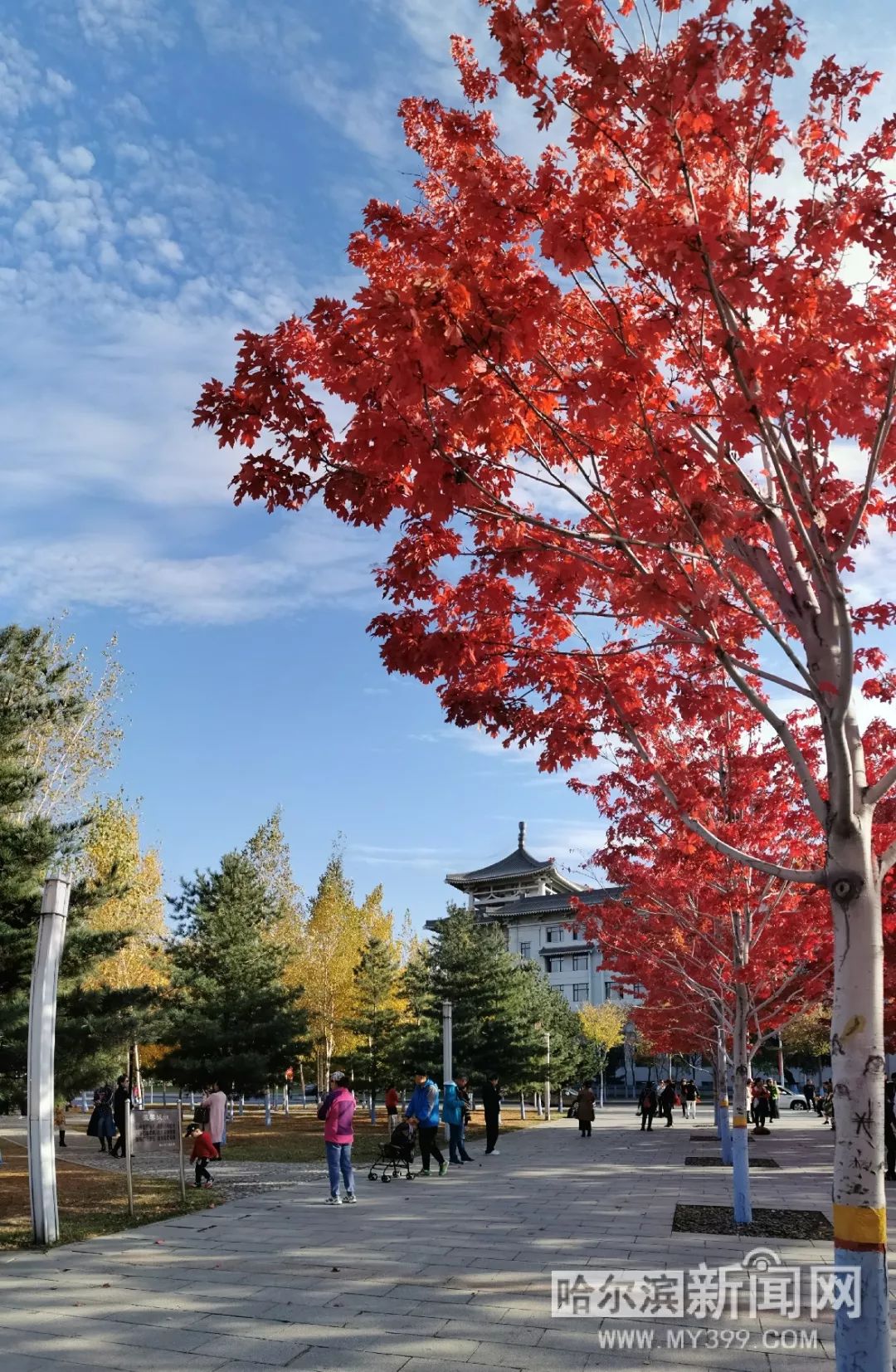 国产精品免费精品自在线观看