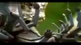 亚洲精品国自产在线拍 