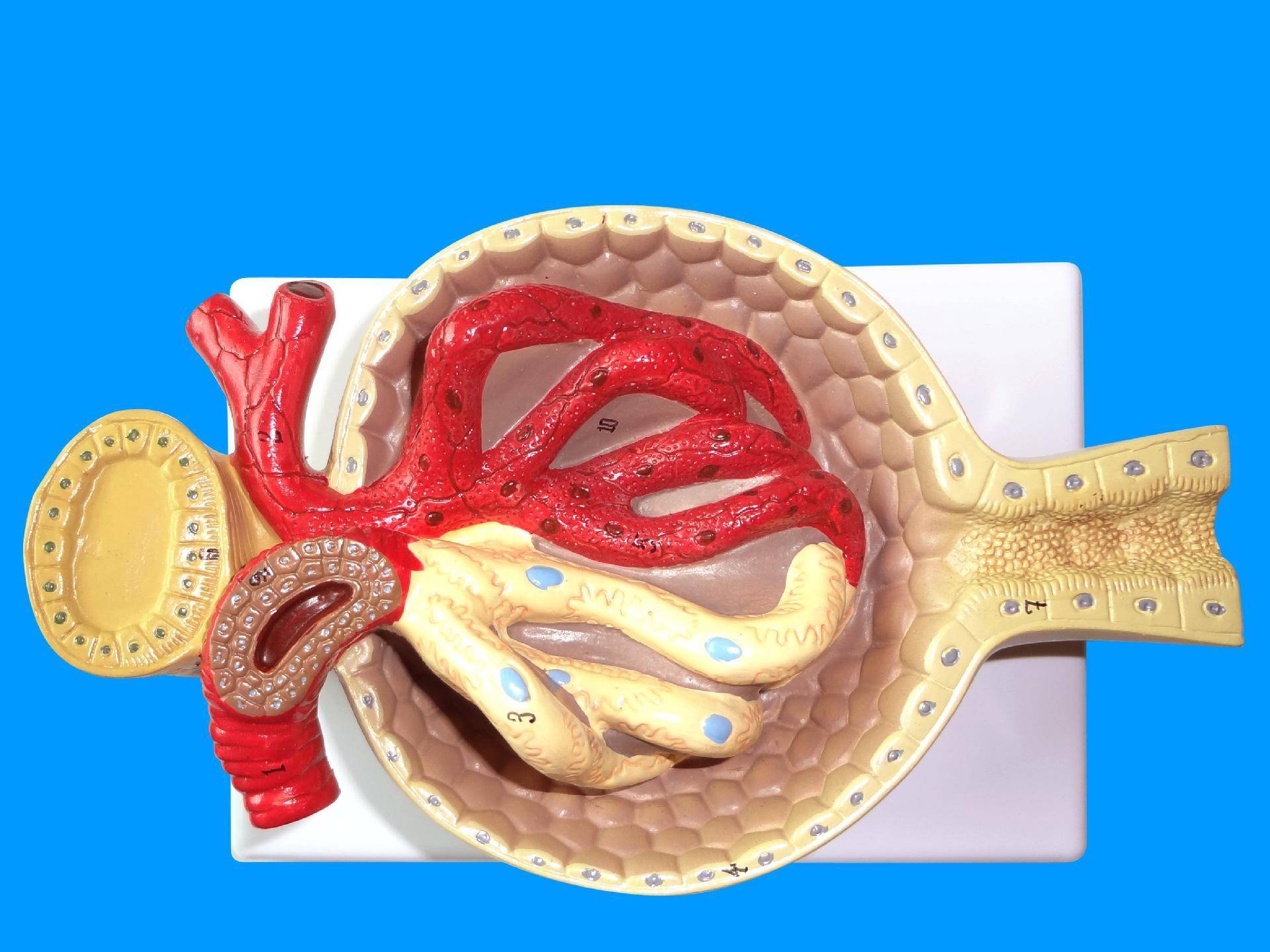 最新网址影视 最新安全的网址观看方式