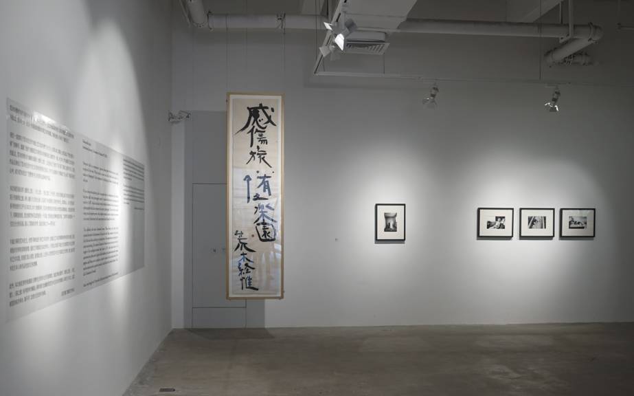 91精品在线视频 精品与普通视频网站不同