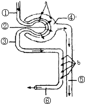 维基泄密网站 3）坚持“科学式新闻”理念