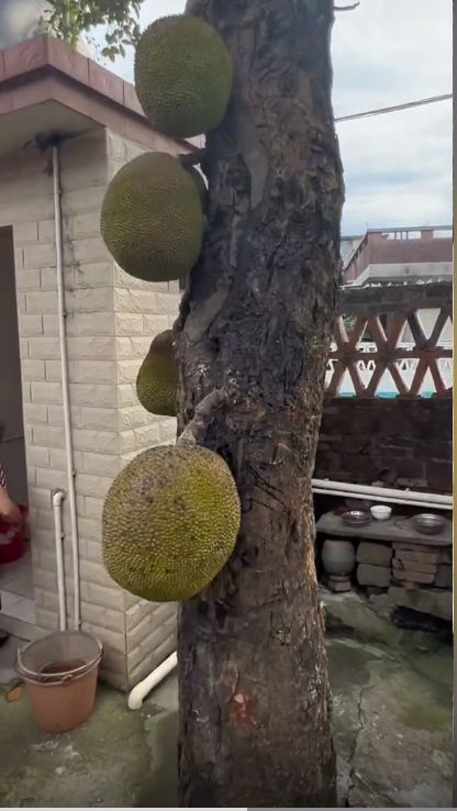 秘密教学93话恩爱久等了免费阅读 传递了温暖和正能量