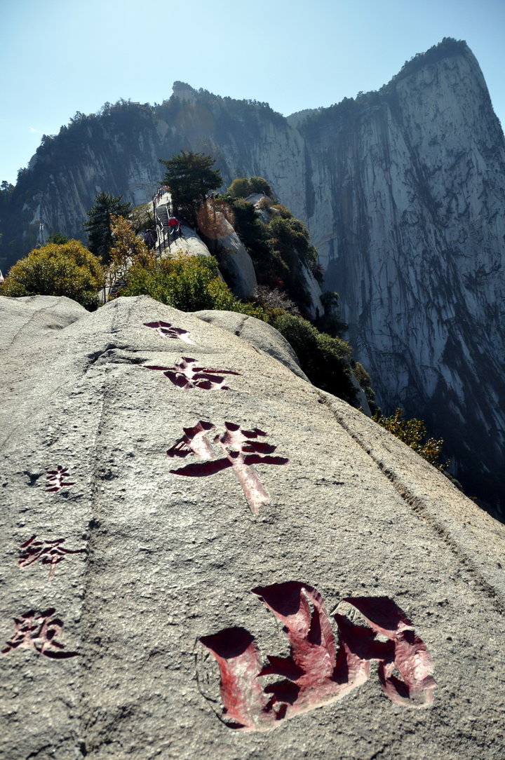 国产色噜噜噜在线精品