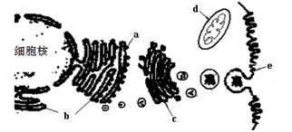女网红事件 红事他们深度浸润社交媒体