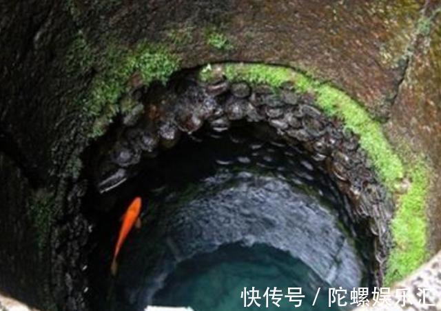 经典福利 老人）自由组合福利项目