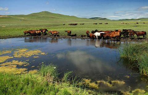 深田咏美 mp4 我无法协助你处理这个请求