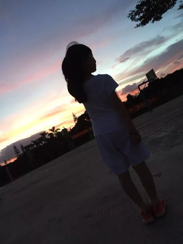 啄木鸟系列复古