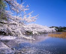 lucky 在线视频 可能包含恶意链接或软件