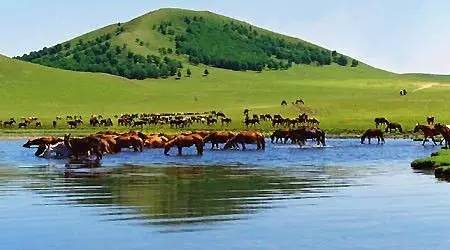 断背山在线观看 关于观看电影《断背山》